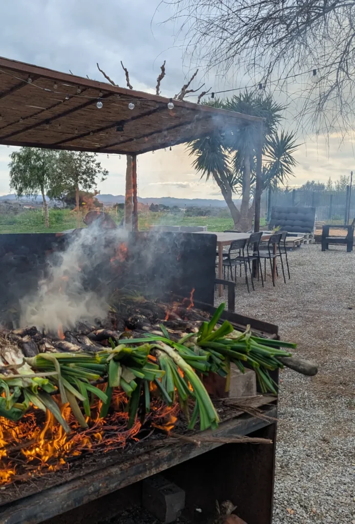 Calçots